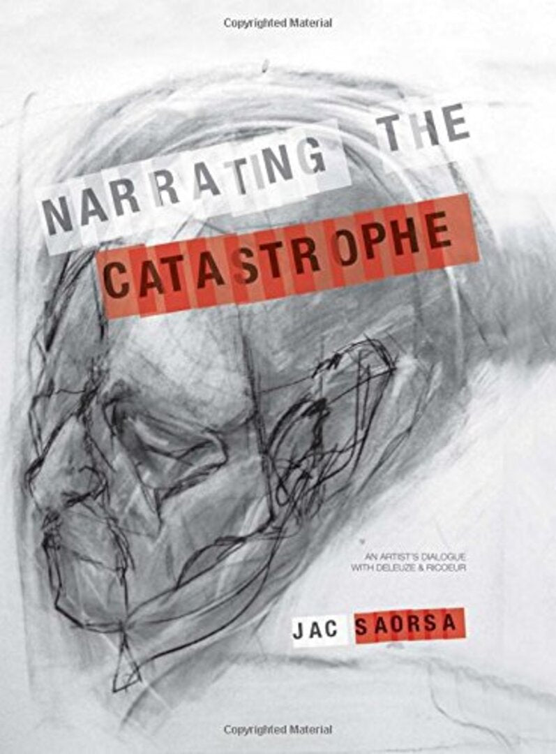 Cover image for Narrating the Catastrophe ISBN 9781841504605